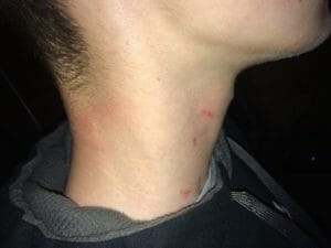 18817765 1044510589018496 1134339771 o 1 e1497336921480