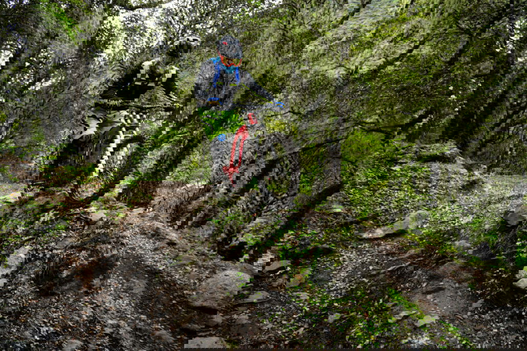 E-Kleinkraftrad Firefly sur ron firefly 006