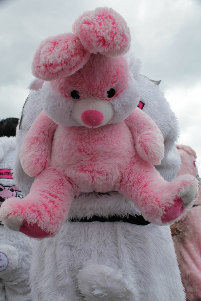 Spendenfahrt Streetbunnycrew NRW 6 IMG 7392