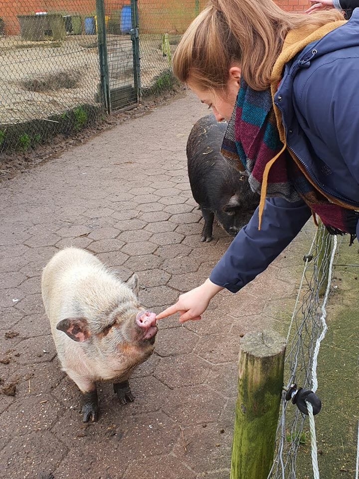 Die KS Emsland spenden für den Gnadenhof Melief 2 78287921 2631491633601134 7359462462111875072 o