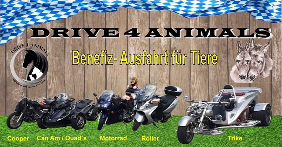 Drive4Animals Mega Benefiz- Tour 2024 1 Drive4Animals