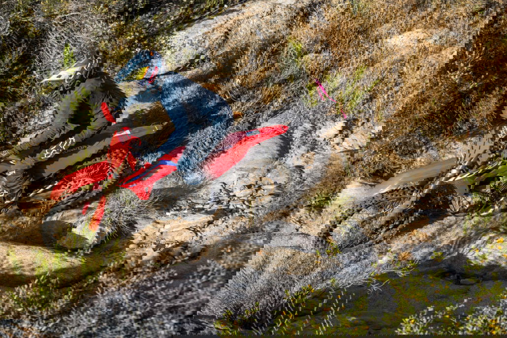 304792 2021MY CRF450RX