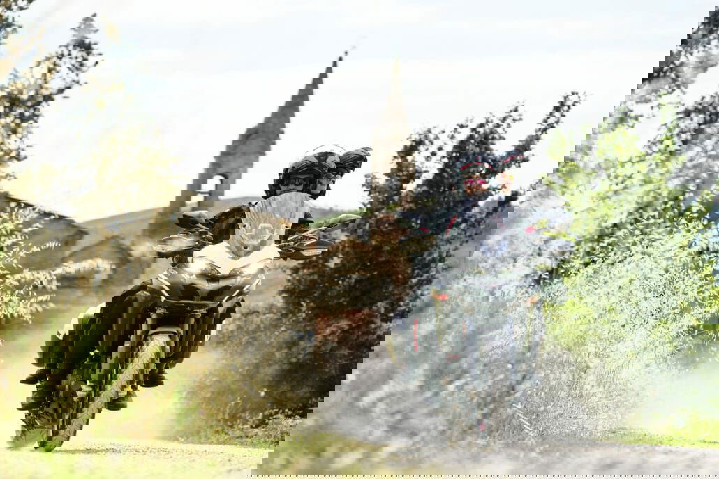 Neue Lackierung für die Ducati Multistrada 950 S 15 DUCATI MULTISTRADA950S GPWHITE AMBIENCE 13 UC176517 High