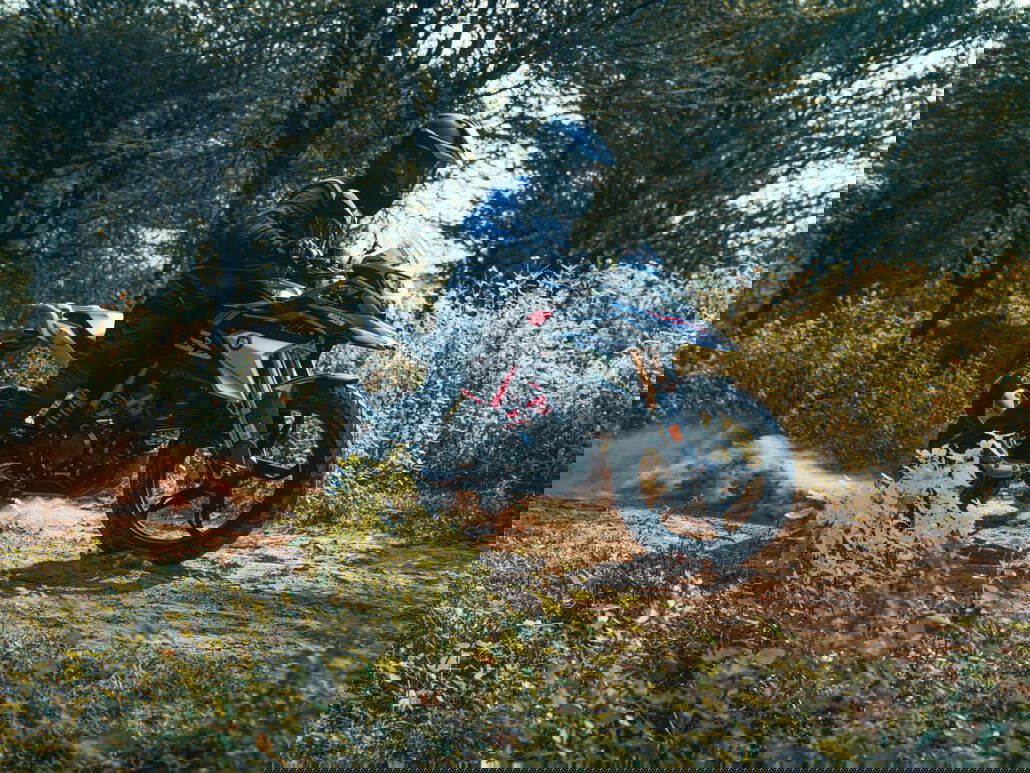 Neue BMW G 310 GS vorgestellt (2021) 13 BMW G 310 GS 21