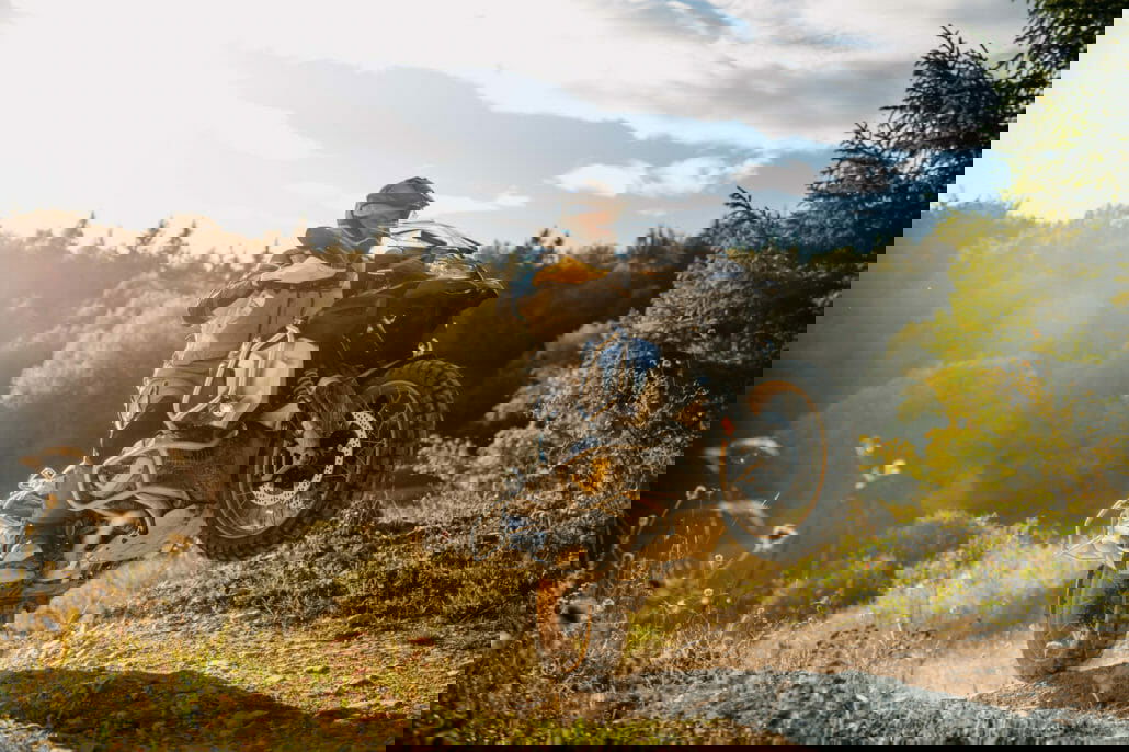 BMW R 1250 GS Adventure 22