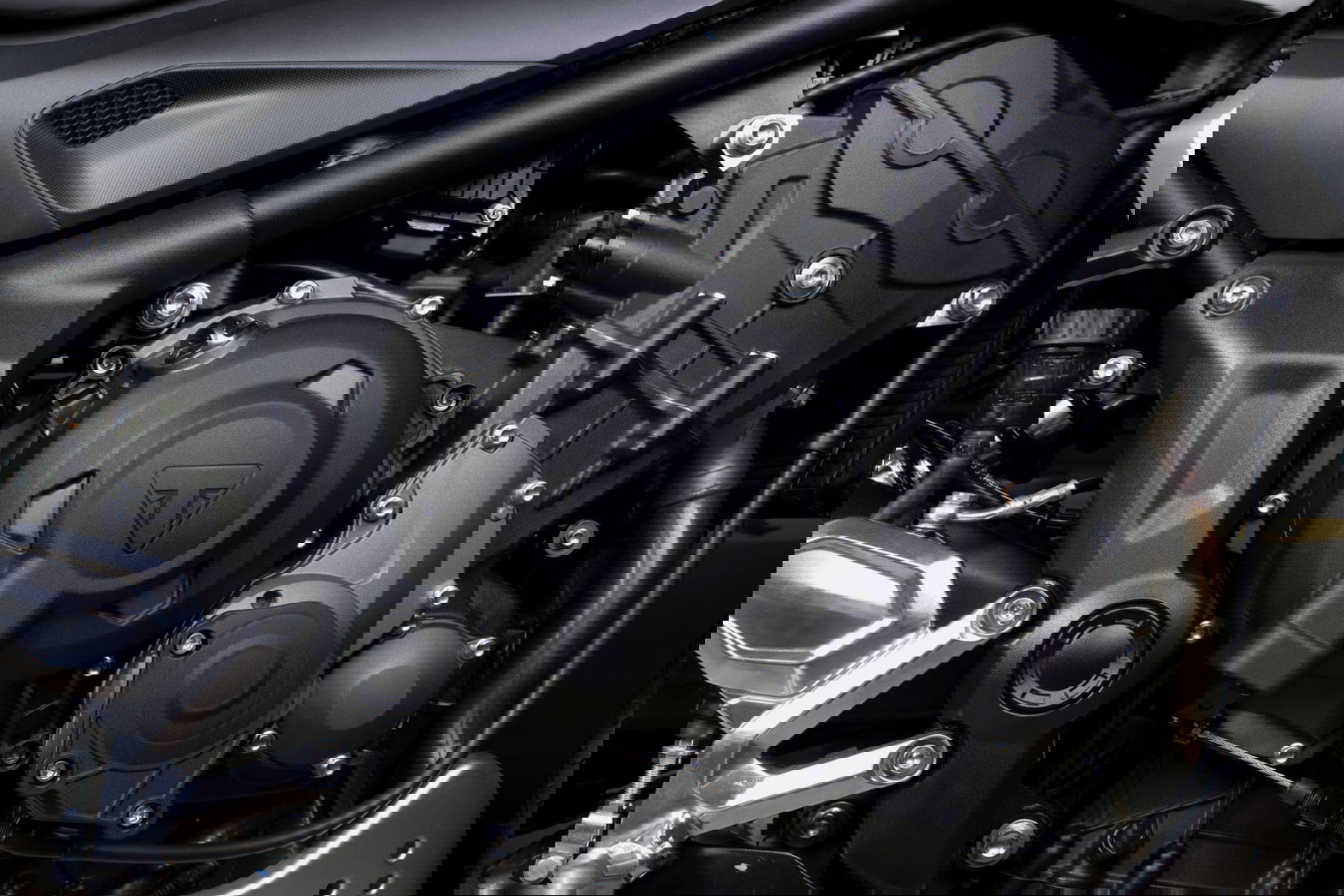 TRIUMPH Trident 660 vorgestellt – alle Daten und Infos 1 Trident Accessory Engine Protectors Side