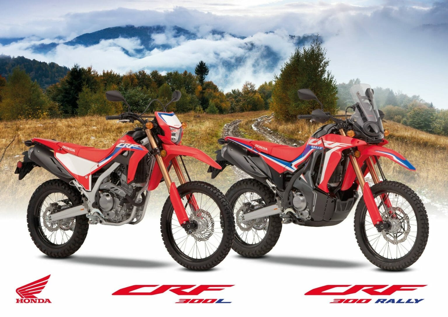 Honda CRF300 Rally 2021 16
