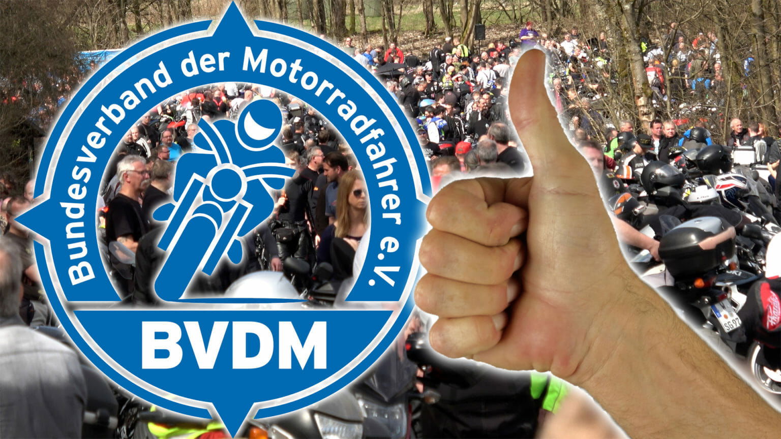 BVDM