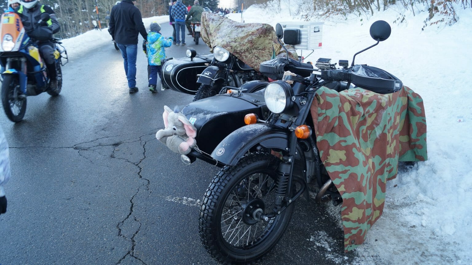 Elefantentreffen abgesagt Elefantentreffen