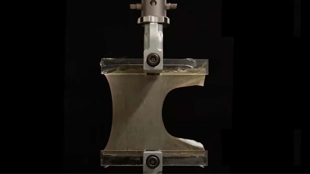 Harvard presents tear-resistant natural rubber: New opportunities for motorcycles and more rissfesten Naturkautschuk