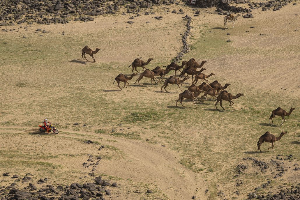 Dakar Rally 2026 Etappe 12 21