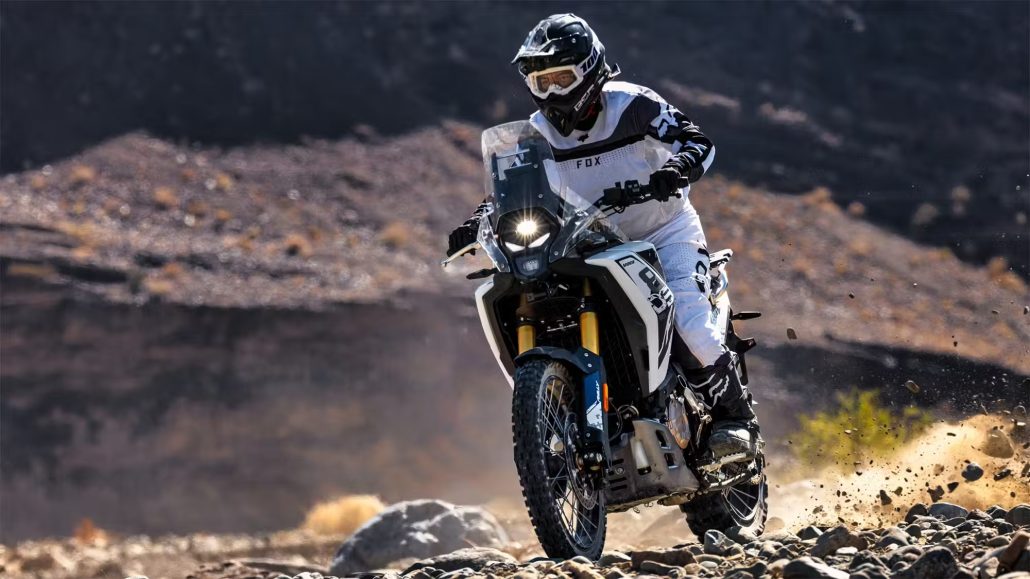 Voge DS 800 X Rally 2026 1