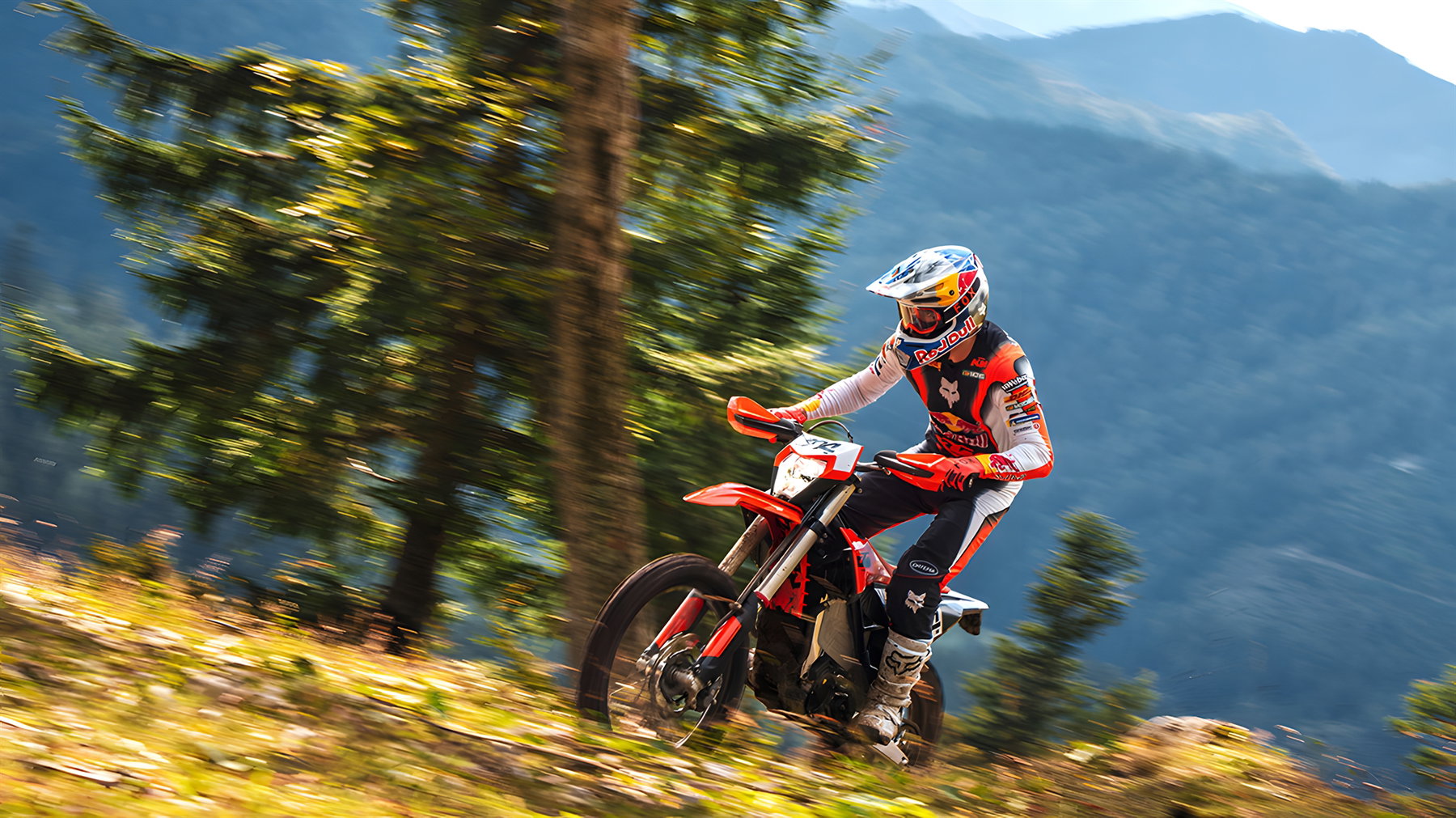 KTM Freeride E 2027 – Fahrer im Gelände auf Bergpfad mit herbstlicher Waldkulisse