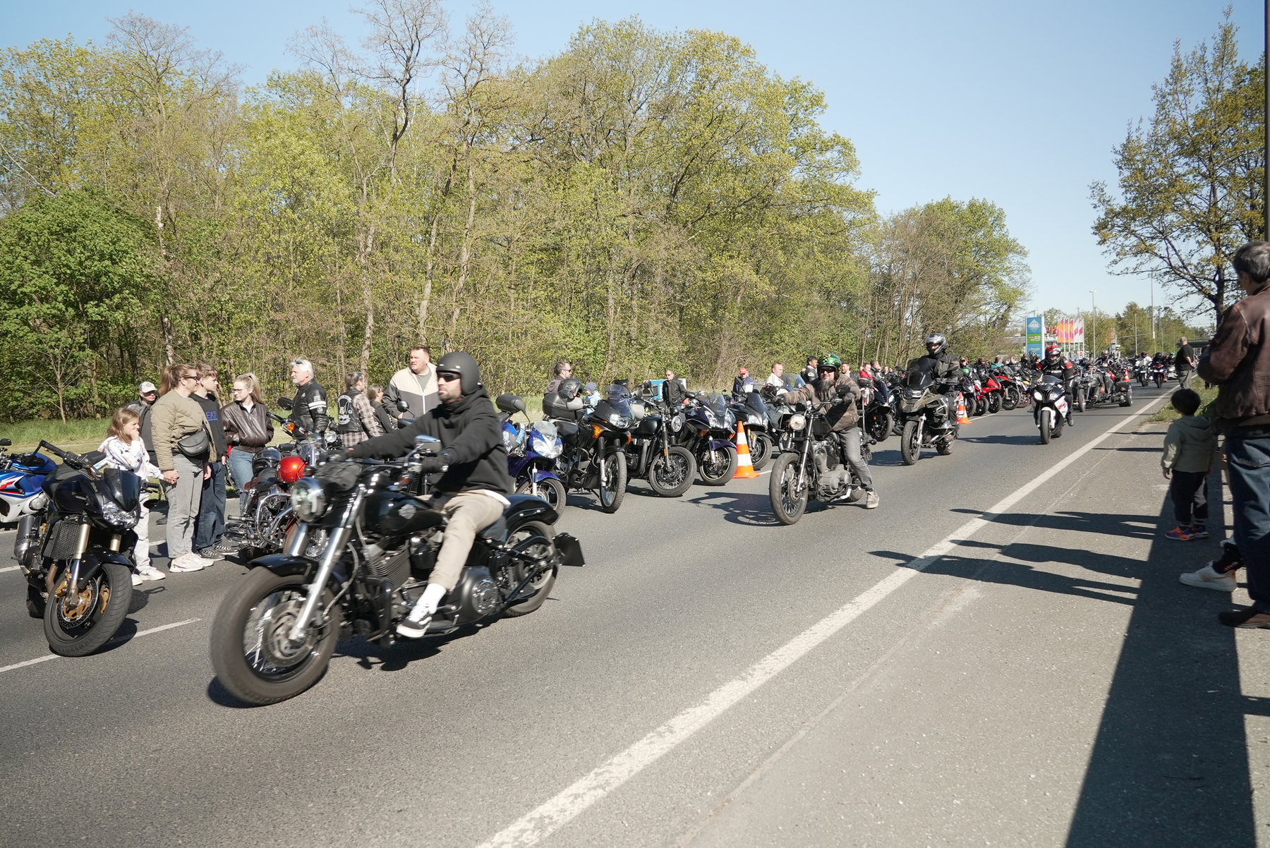 Convoy in motion on forest road