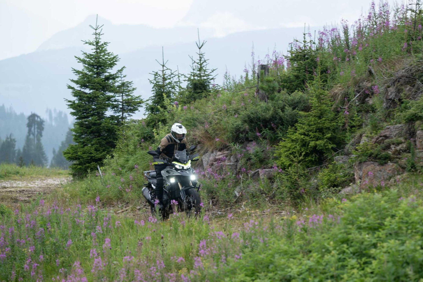 Benelli TRK 902: Erste Testfahrten zeigen Stärken und Schwächen 7 Benelli TRK 902 Xplorer (2026) – Fahraufnahme abseits der Strasse auf Wiesenweg mit Weidenroeschen, im Hintergrund Dolomiten-Gipfel