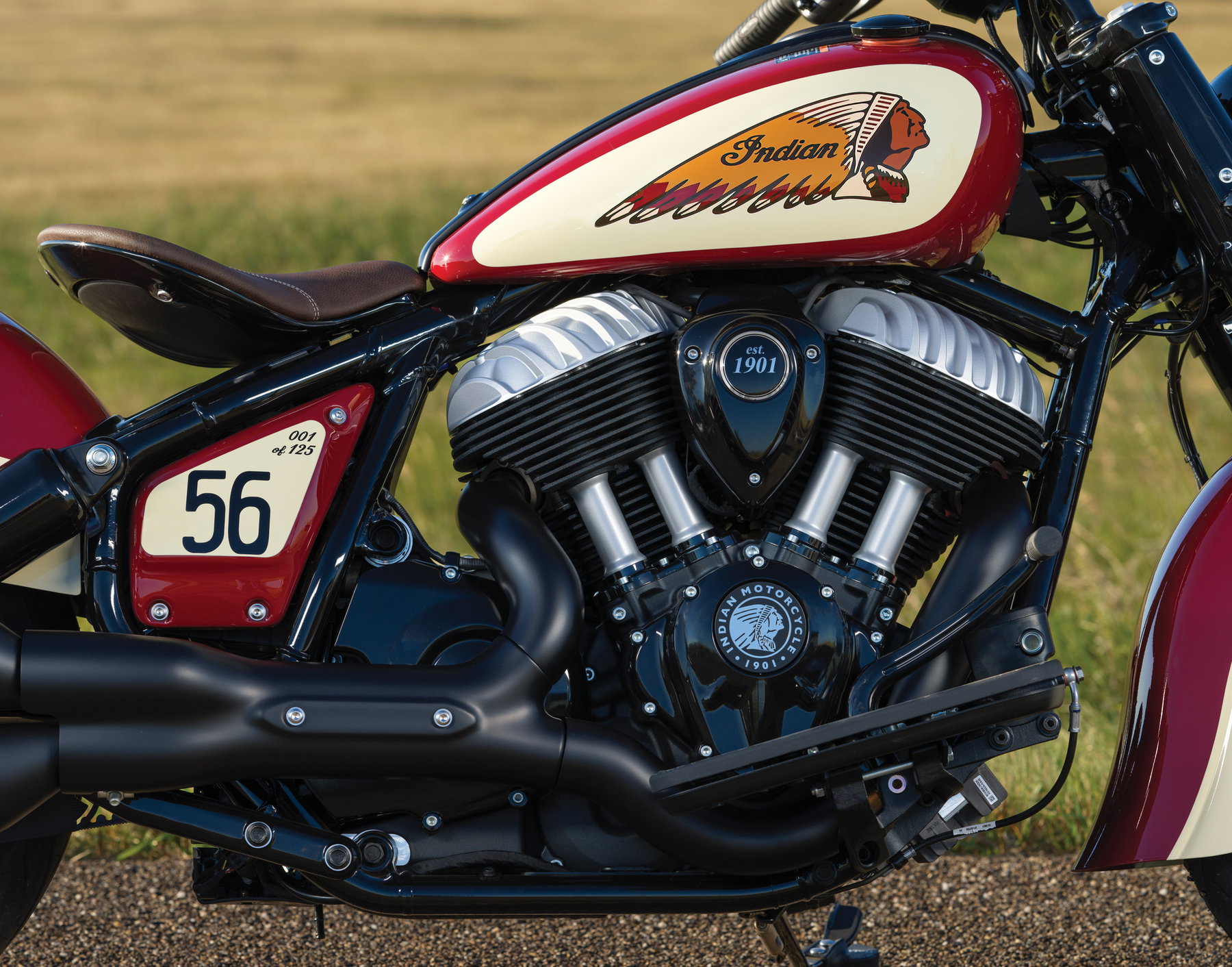 Detailansicht des luftgekühlten Thunderstroke 116 V-Twin mit lackierten Zylinderköpfen, est.-1901-Emblem und Seitendeckel mit Startnummer 56