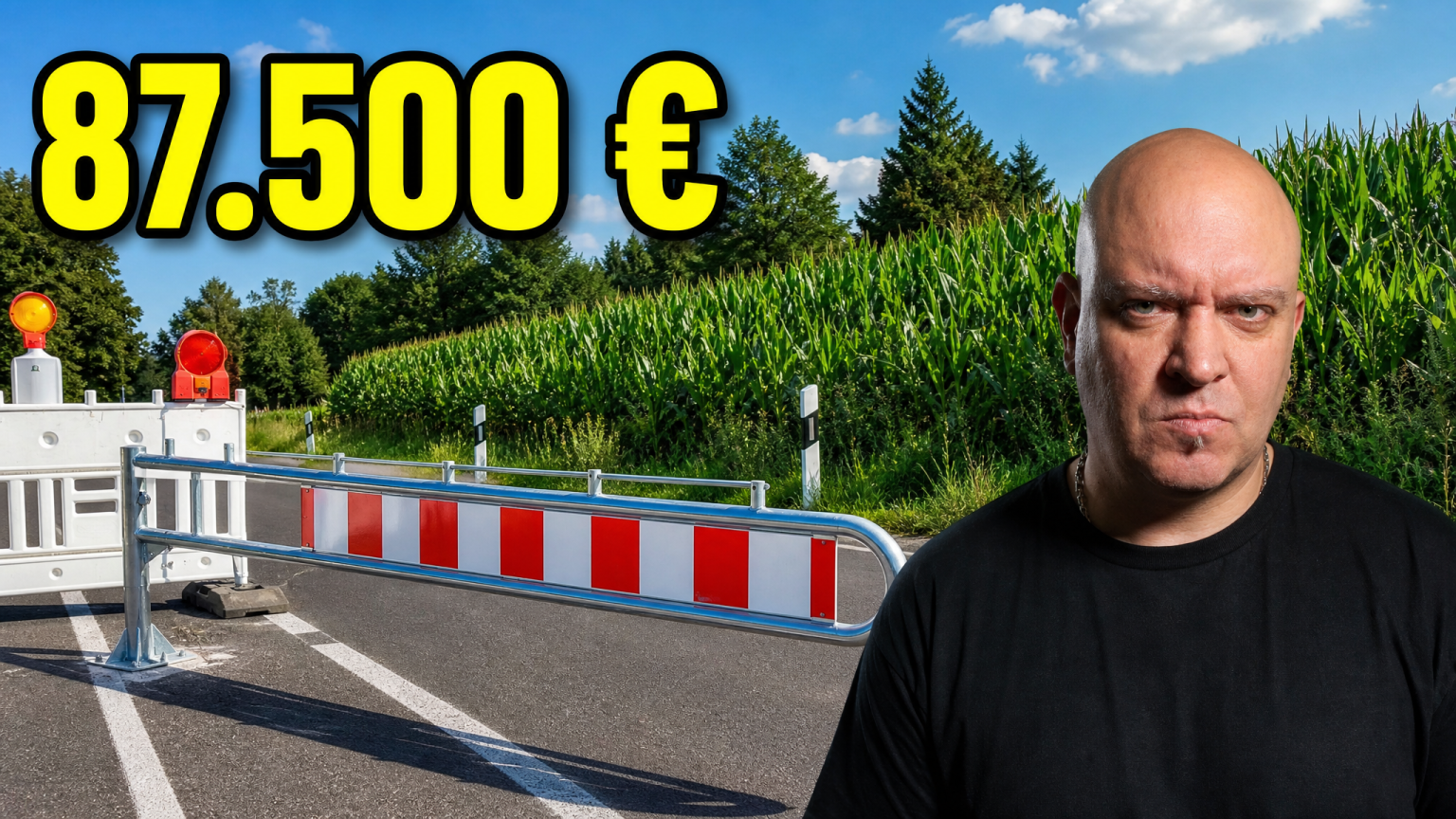 thumbnail de v3 03 87500 euro