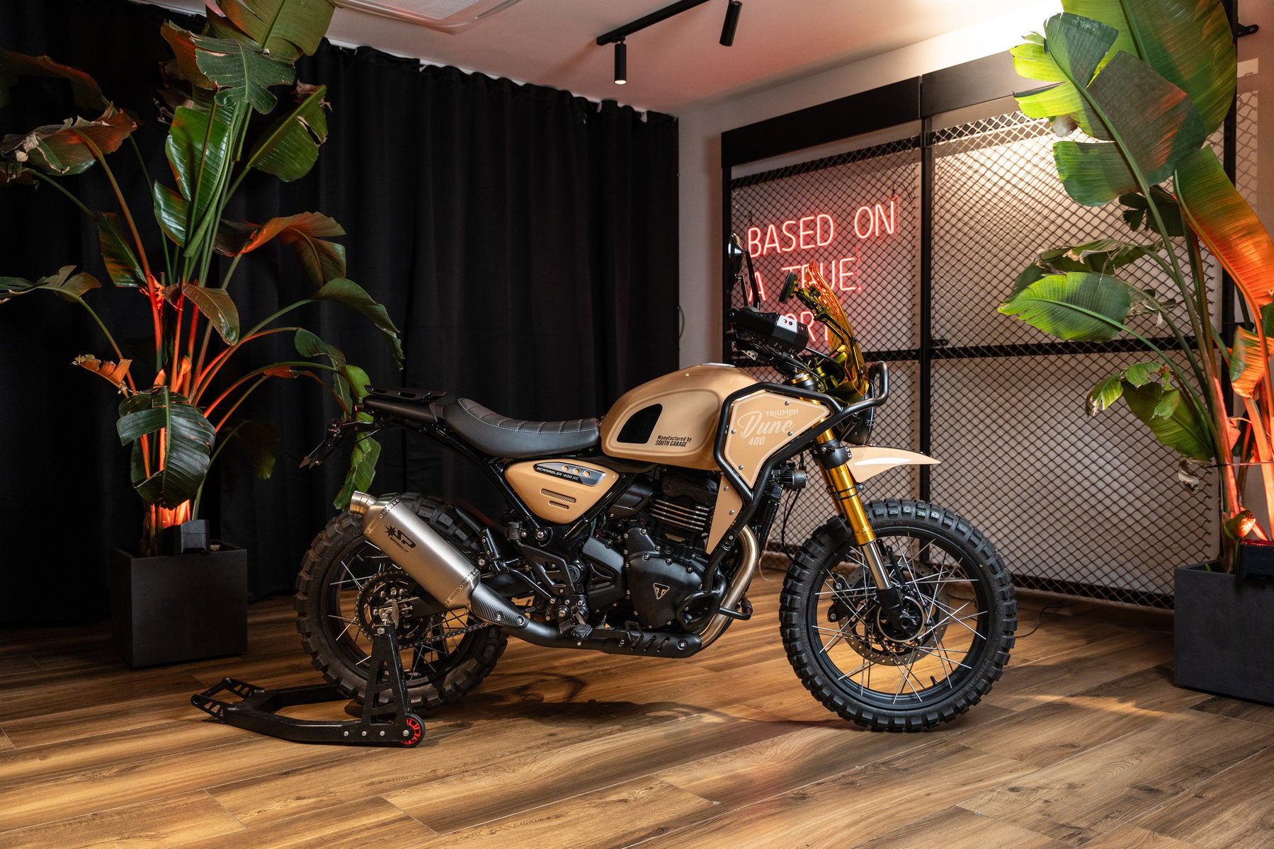 Triumph Originals 2026: Wie sieben Werkstätten die Scrambler neu denken 5 Triumph Scrambler 400 X Custom-Umbau Dune 400 von South Garage aus Italien – Rally-Look in Sandbeige mit Tankrucksackschutz, Windschild und Stollenreifen im Showroom mit Pflanzen