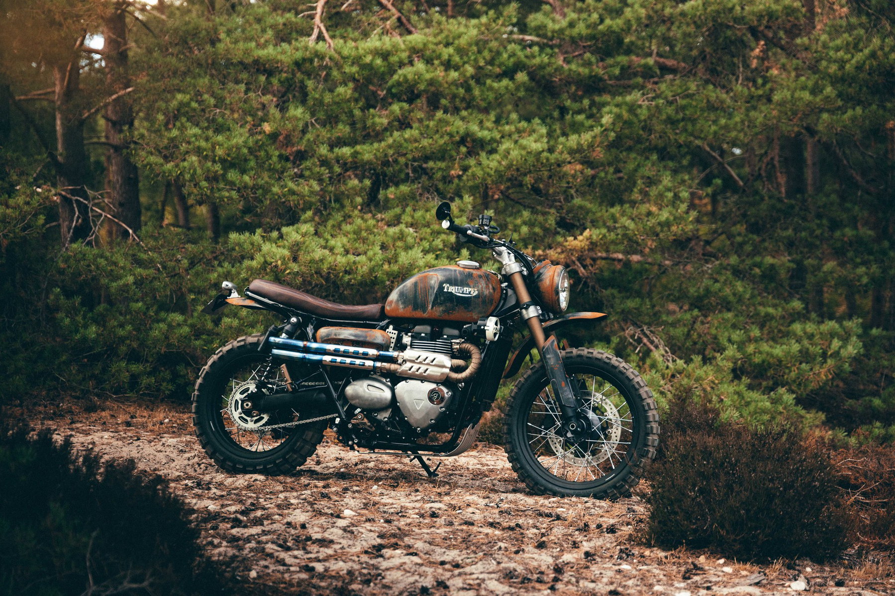 Triumph Originals 2026: Wie sieben Werkstätten die Scrambler neu denken 6 Triumph Scrambler Custom-Umbau aus Großbritannien – Scrambler mit Rost-Patina-Lackierung, brauner Sitzbank und blauen Auspuffhitzeschilden im Kiefernwald