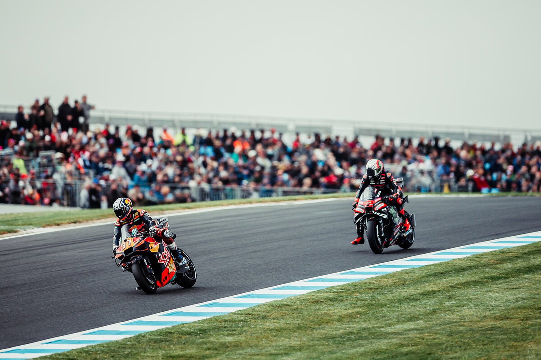 Pedro Acosta auf der KTM RC16 vor voll besetzter Tribüne – MotoGP Australien GP Phillip Island 2026 (Sprint)