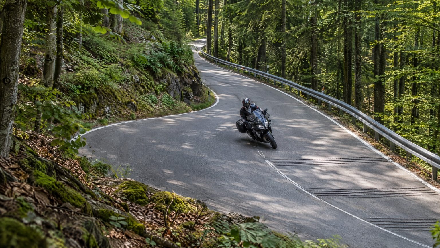 Motorradfahrer auf einem Tourenmotorrad in einer Kurve einer Waldstraße mit Leitplanke und quer verlaufenden Rüttelstreifen auf der Fahrbahn, Sonnenlicht im Buchenwald