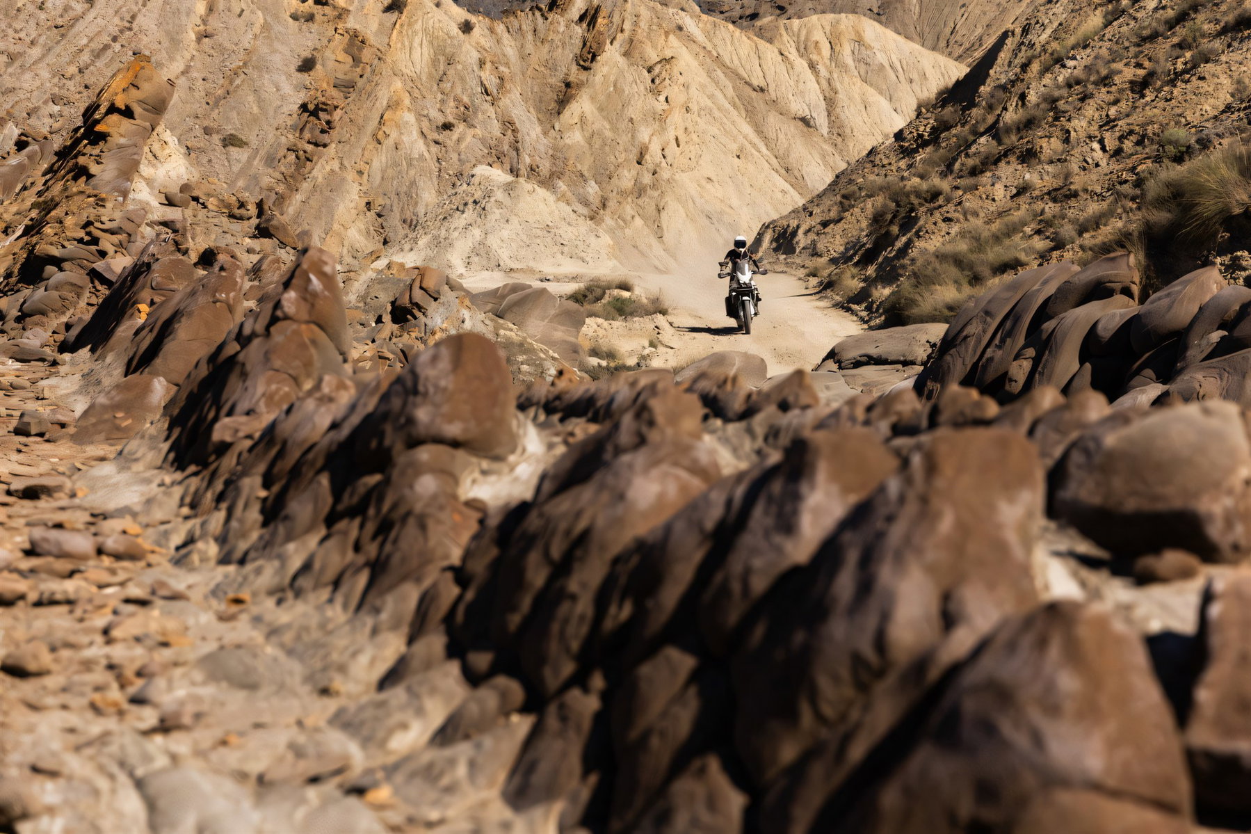 Kawasaki KLE 500 2026 – Fahraufnahme auf Schotterpiste in einer felsigen Wüstenschlucht