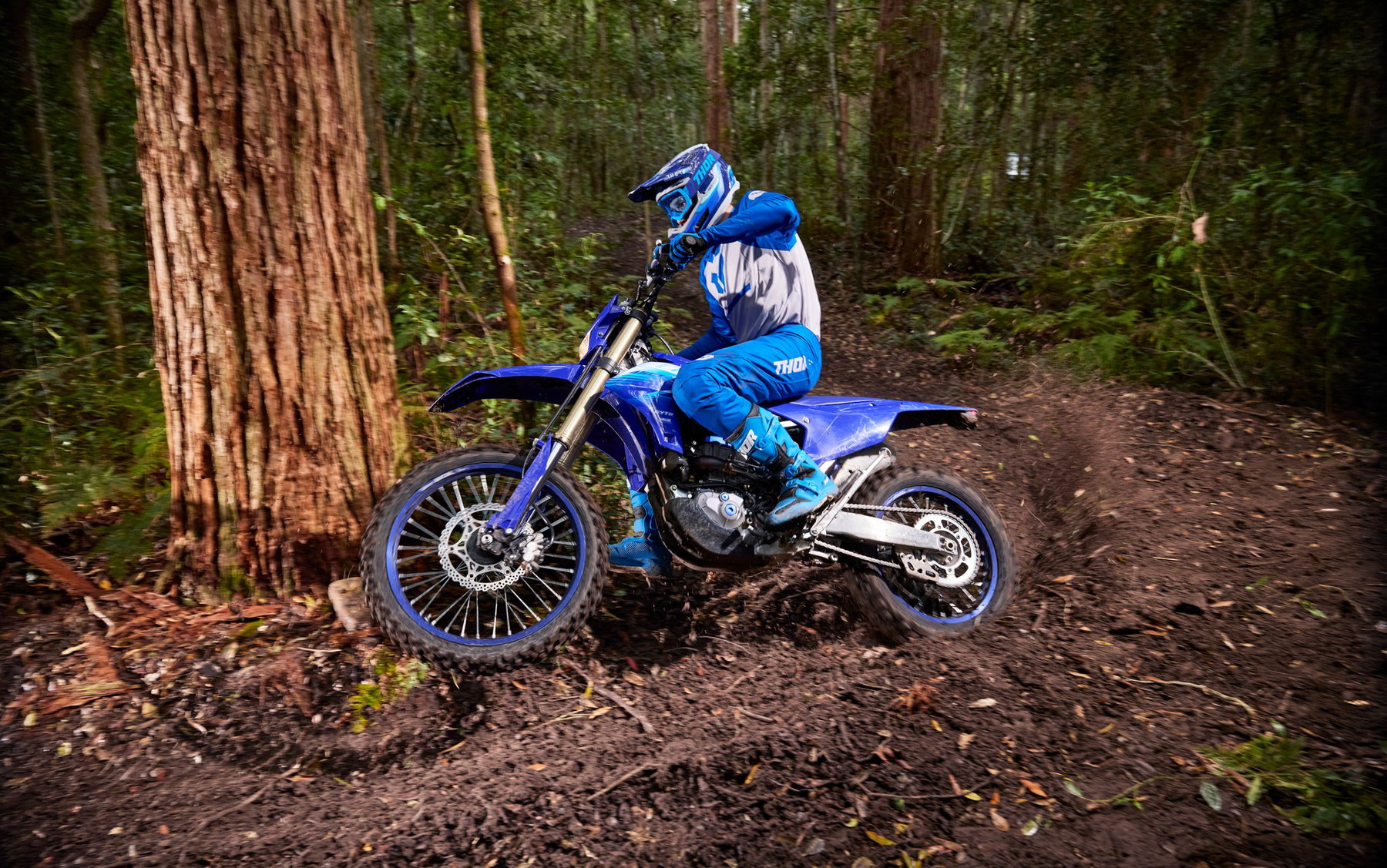Yamaha 2027: New Colours for the Road, New Technology for the Dirt 2 Yamaha WR450F 2027 – in Icon Blue auf einem Waldtrail