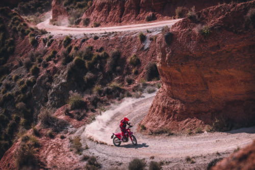 33788_Travel _ ES 700 _ 2022 _ Action