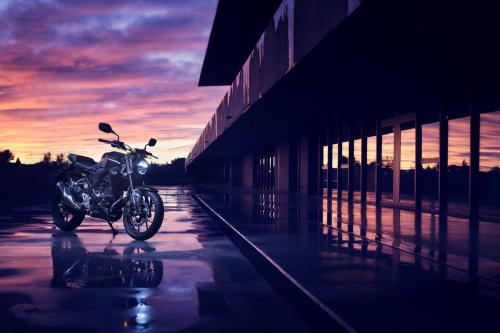 2022 HONDA CB300R