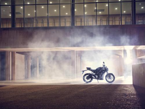 2022 HONDA CB300R