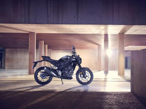 2022 HONDA CB300R