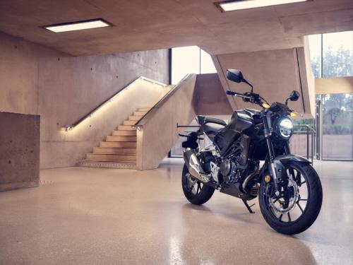 2022 HONDA CB300R