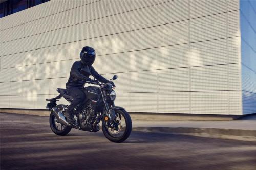 2022 HONDA CB300R
