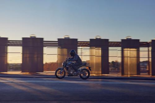2022 HONDA CB300R