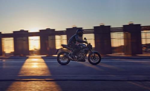 2022 HONDA CB300R
