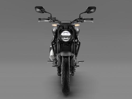 2022 HONDA CB300R