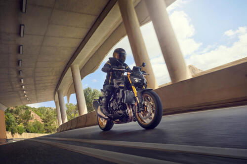 25YM Honda CB1000 Hornet