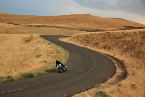 ACC_SpeedTwin1200_MY25_007418_JP