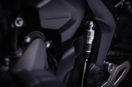 ACC_TigerSport660_MY25-2963_GE