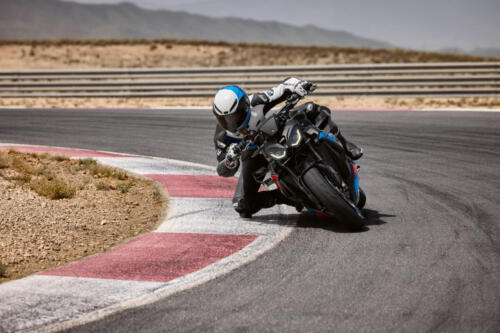 BMW M 1000 R (19)