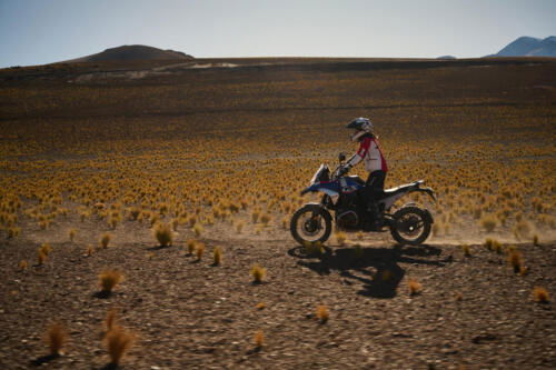 BMW R 1300 GS - 2024 (116)