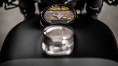 BMW R 18 IRON ANNIE (19)