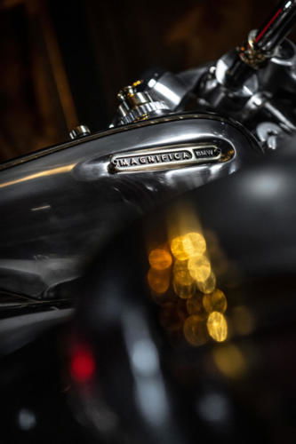 BMW R 18 Magnifica (16)