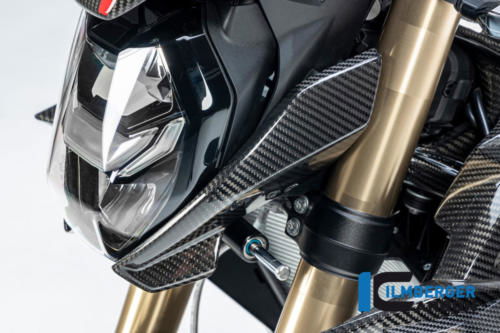 BMW_S1000R_2021_Ilmberger_carbon_10