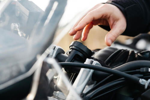 Copy of BL-Moto-II-22