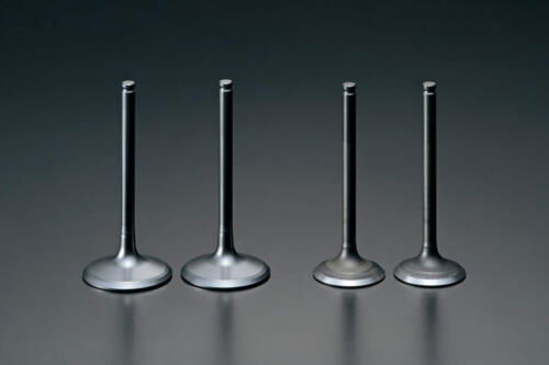 DR-Z400SMRLM5_Valves