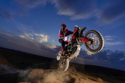 Ducati DesertX Rally - 2024 (8)