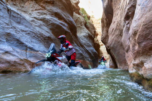 Ducati DesertX Rally - 2024 (9)