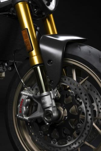 Ducati Monster 30 Anniversario (18)