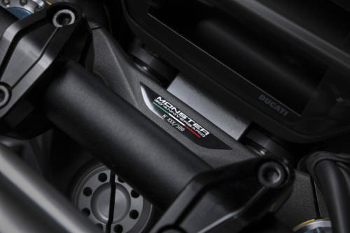 Ducati Monster 30 Anniversario (22)